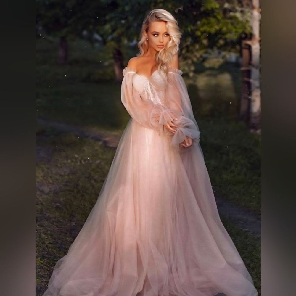 Romantic Blush Off-Shoulder Gown; Corset Style With Tulle Overlay